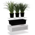 Strata 2 Planters 3